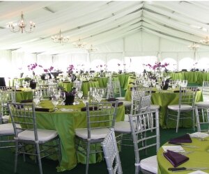 Tent Event on a Budget