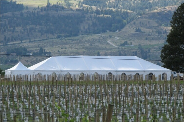 Best Tents